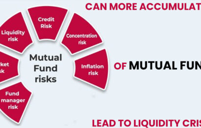 Can more accumulation of Mutual Funds lead to Liquidity crisis?