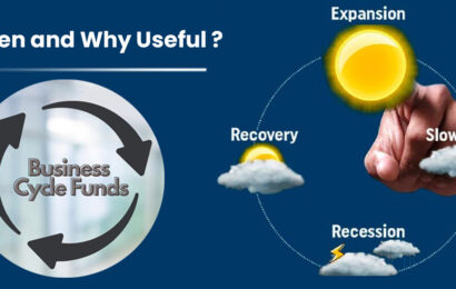 When and why Business Cycle Funds are useful?